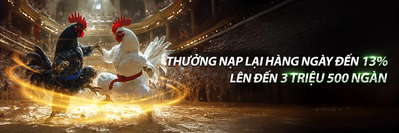 Các môn thể thao khác