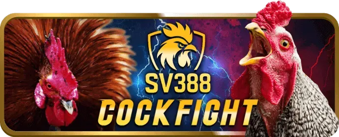 Đánh giá chuyên sâu 67win casino
